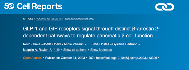 GLP-1 and GIP receptors signal through distinct β-arrestin 2-dependent pathways to regulate pancreatic β cell function