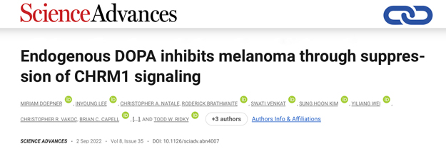 Endogenous DOPA inhibits melanoma through suppression of CHRM1 signaling