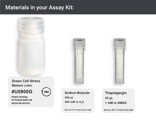 Image showing materials in Green ER Stress Assay kit