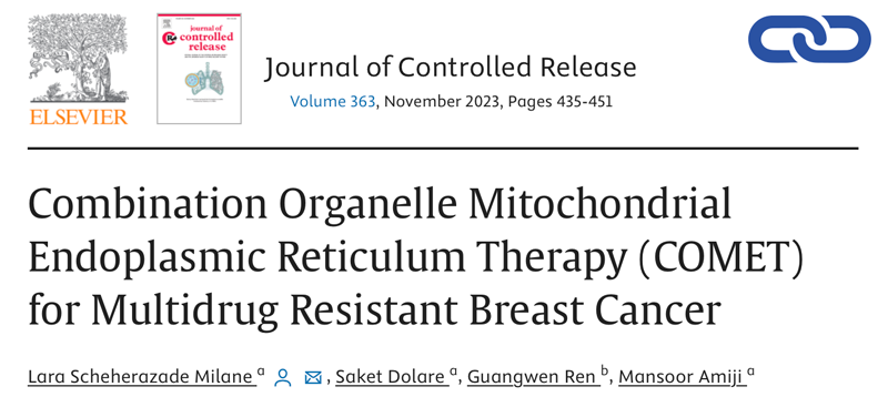 Combination Organelle Mitochondrial Endoplasmic Reticulum Therapy (COMET) for Multidrug Resistant Breast Cancer