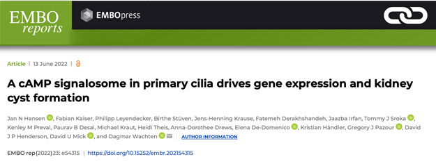 A cAMP signalosome in primary cilia drives gene expression and kidney cyst formation
