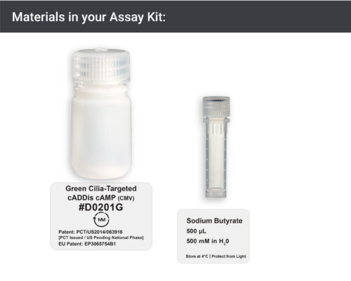 Image showing materials in Green cilia-targeted cAMP Assay kit