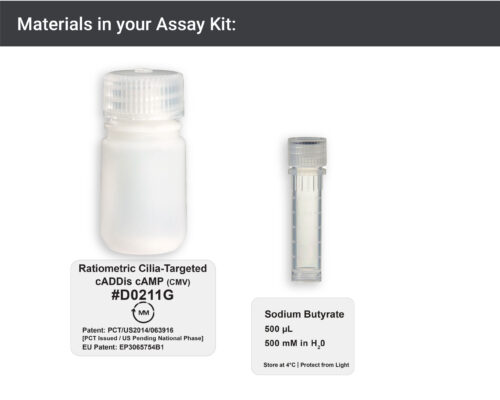 Image showing materials in ratiometric cilia-targeted cAMP Assay kit