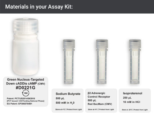 Image showing materials in Green nucleus-targeted cAMP Assay kit