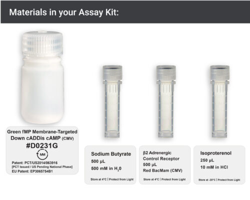 Image showing materials in Green MP membrane-targeted cAMP Assay kit