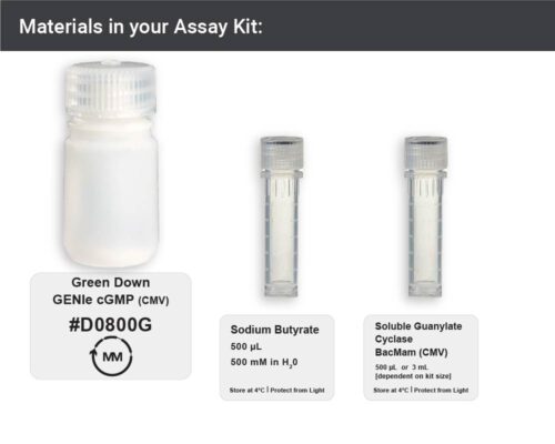 Image showing materials in fluorescent cGMP Assay kit