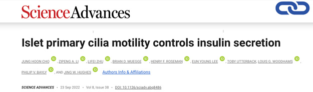 Islet primary cilia motility controls insulin secretion