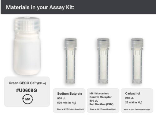 Image showing materials in EF1-a G-GECO calcium Assay kit