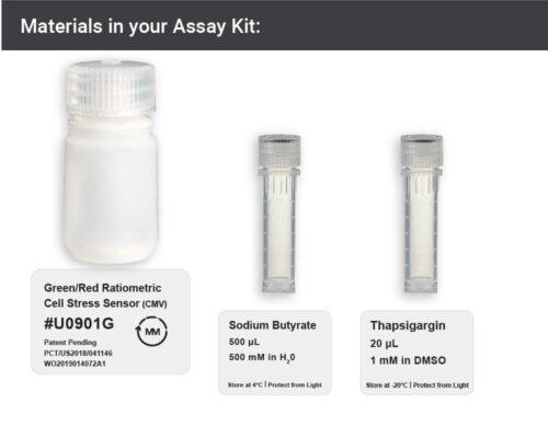 Image showing materials in Ratiometric ER Stress Assay kit