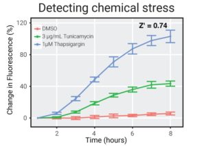 Chemical toxicity assay