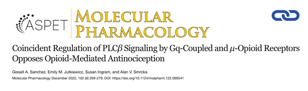 Coincident Regulation of PLCβ Signaling by Gq-Coupled and μ-Opioid Receptors Opposes Opioid-Mediated Antinociception
