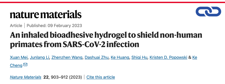 An inhaled bioadhesive hydrogel to shield non-human primates from SARS-CoV-2 infection