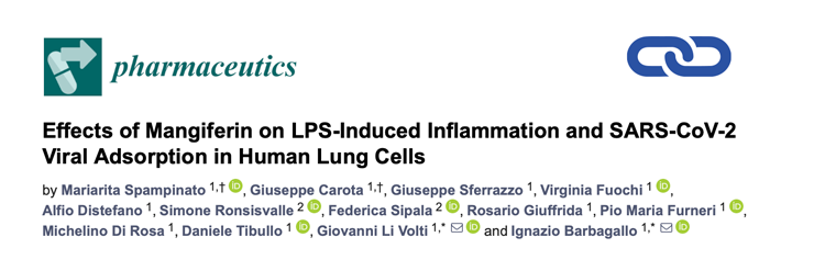 Effects of Mangiferin on LPS-Induced Inflammation and SARS-CoV-2 Viral Adsorption in Human Lung Cells