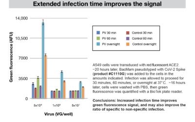 SARS-CoV-2 Pseudovirus Entry Assay