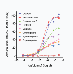 Figure showing arrestin initial rate from ligands of MOR