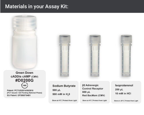 Image showing materials in green downward cAMP Assay kit
