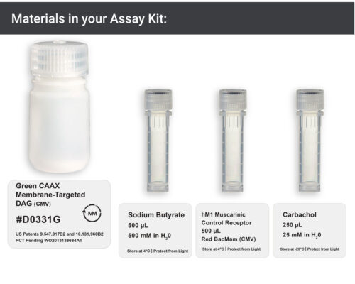 Image showing materials in Red membrane-targeted DAG Assay kit