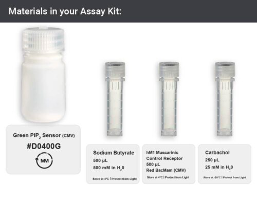 Image showing materials in green fluorescent PIP2 Assay kit