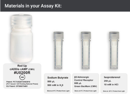 Image showing materials in red upward cAMP Assay kit