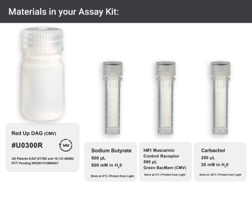 Image showing materials in Red Upward DAG Assay kit