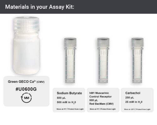 Image showing materials in G-GECO calcium Assay kit