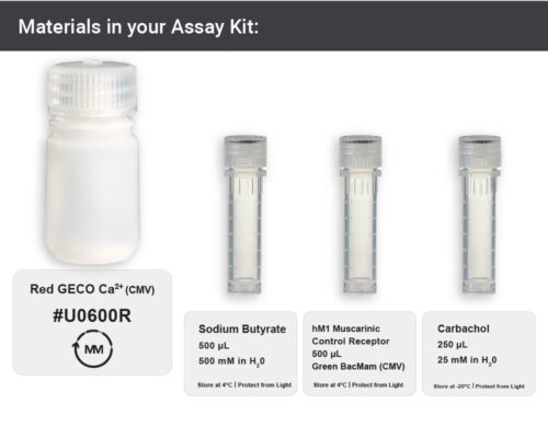 Image showing materials in R-GECO calcium Assay kit