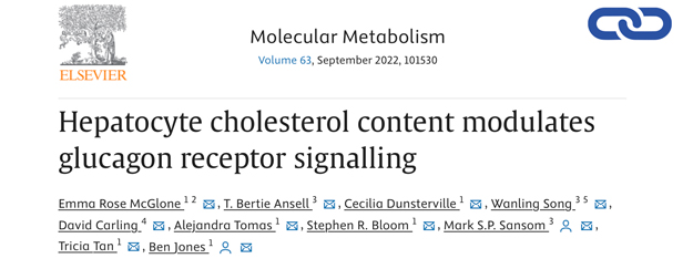 Hepatocyte cholesterol content modulates glucagon receptor signalling