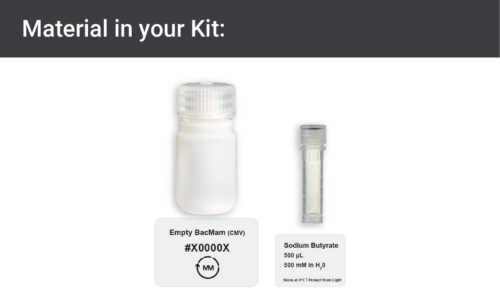 Image showing materials in empty BacMam expression kit