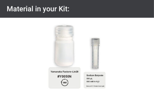 Image showing materials in Lin28 expression kit