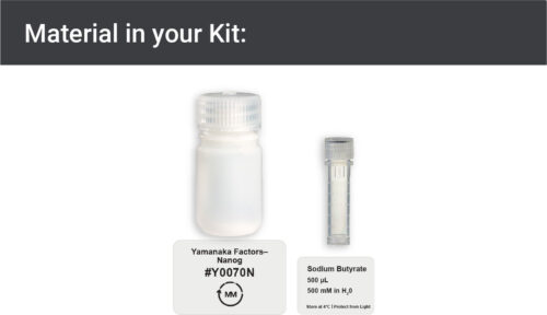 Image showing materials in Nanog expression kit