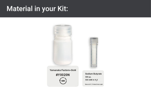 Image showing materials in Oct4 expression kit