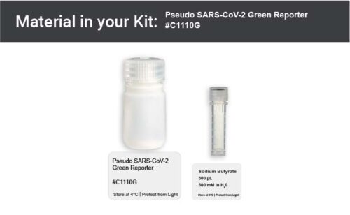 Image showing kit materials for a fluorescent SARS-CoV-2 WIV04 pseudovirus assay kit