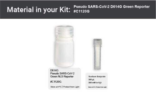Image showing kit materials for a fluorescent SARS-CoV-2 D614G pseudovirus assay kit