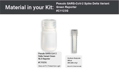 Image showing kit materials for a fluorescent SARS-CoV-2 delta variant pseudovirus assay kit