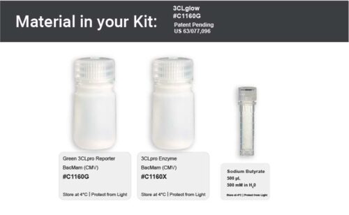 Image showing kit materials for a 3clglow 3CL pro sensor kit