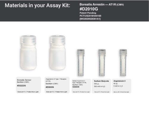 Image showing kit materials for a fluorescent arrestin AT1R assay
