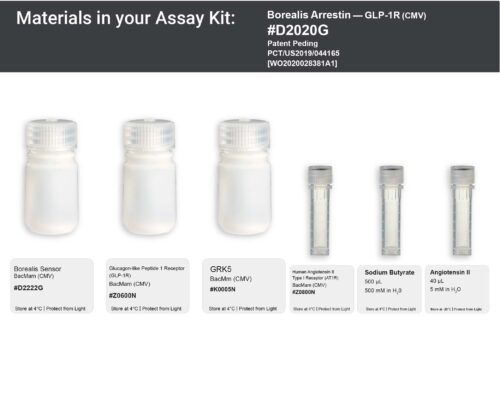 Image showing kit materials for a fluorescent arrestin GLP-1R assay