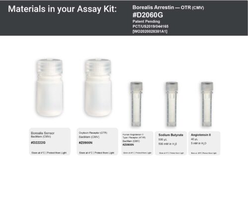 Image showing kit materials for a fluorescent arrestin OTR assay