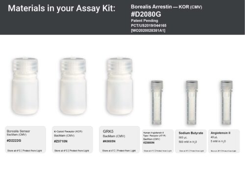 Image showing kit materials for a fluorescent arrestin KOR assay