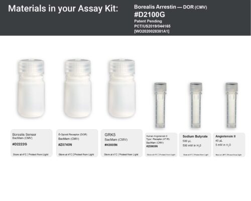 Image showing kit materials for a fluorescent arrestin DOR assay