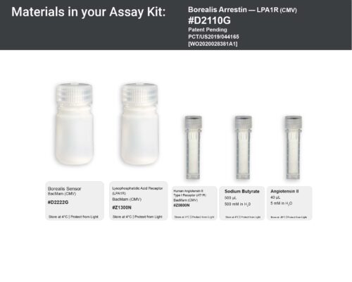Image showing kit materials for a fluorescent arrestin LPAR1 assay