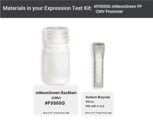 Image showing kit materials for an mNeon Green FP expression kit