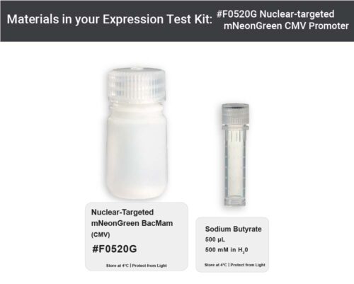 Image showing kit materials for an nuclear targeted green fluorescent protein expression kit