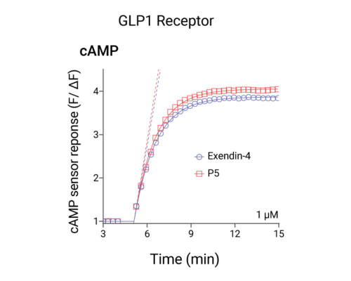 Figure showing cAMP signaling at the GLP-1 receptor from two different agonists