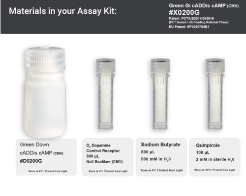 Image showing kit materials for a fluorescent downward cAMP assay kit