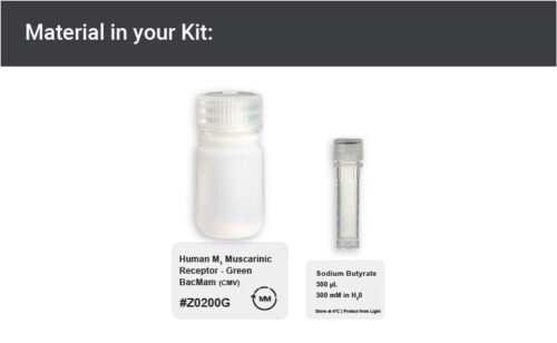 Image showing kit materials for an green fluorescent hM1R expression kit
