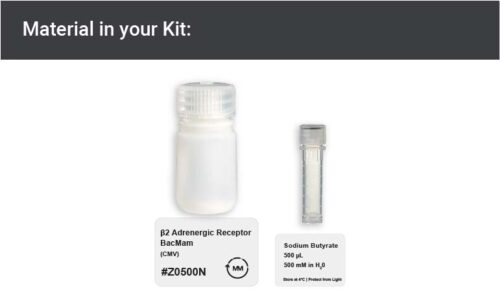Image showing kit materials for an B2AR expression kit