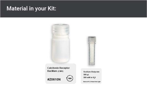 Image showing kit materials for an CALCR expression kit