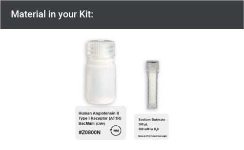 Image showing kit materials for an AT1R expression kit
