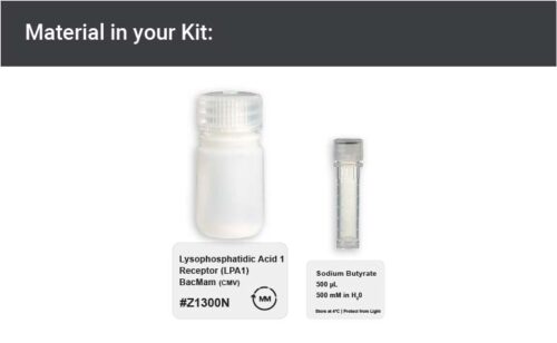 Image showing kit materials for an LPAR1 expression kit